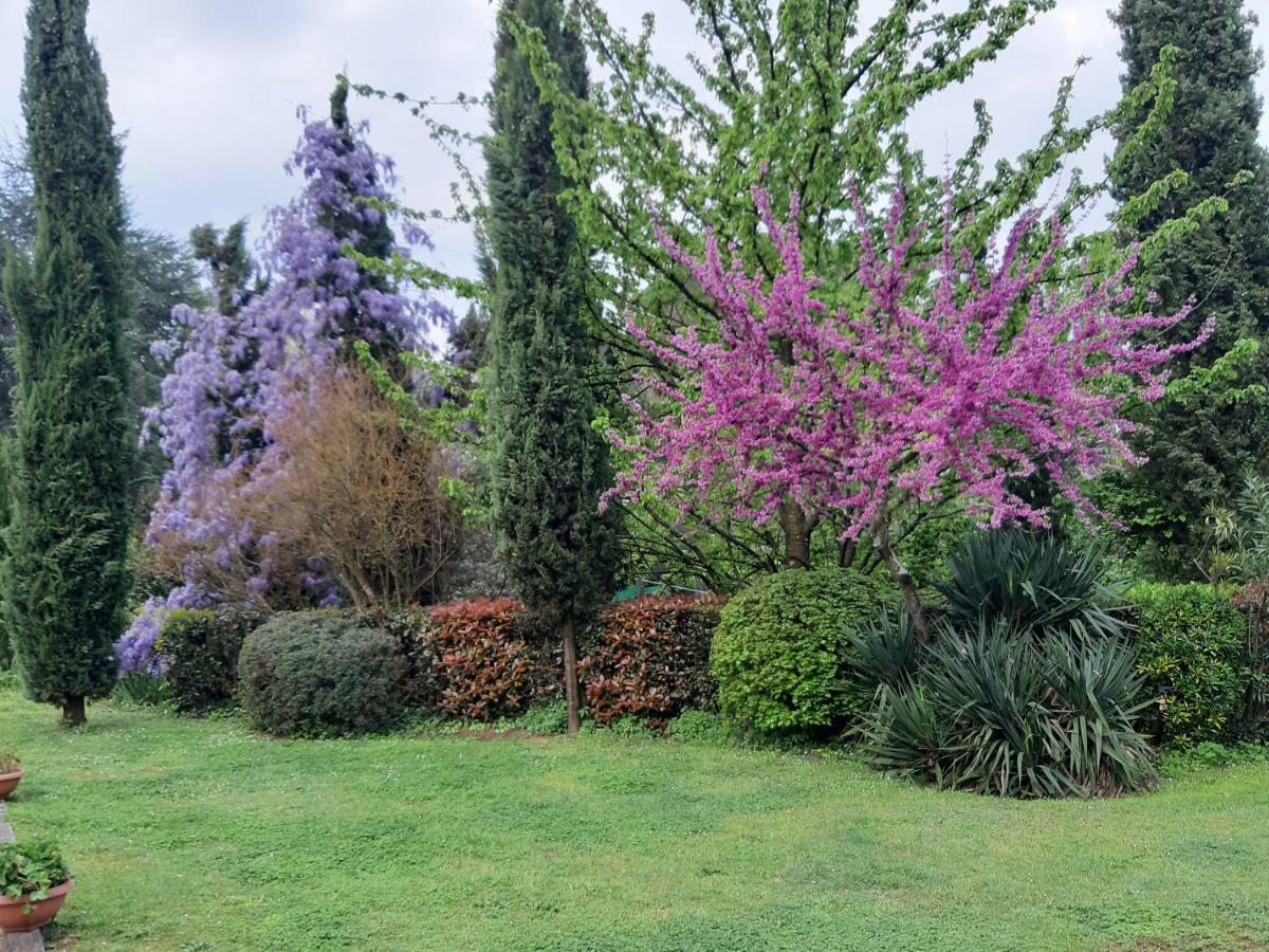 Il Fienile Del Colle Villa Pescia Kültér fotó